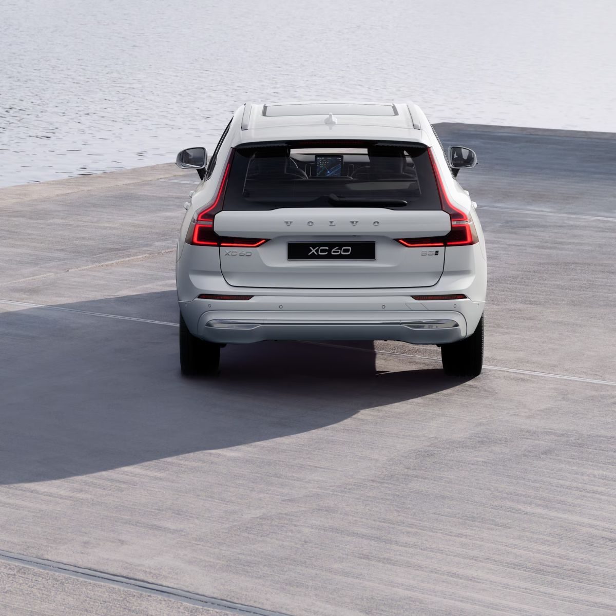 XC60 Ultra - Cardamom